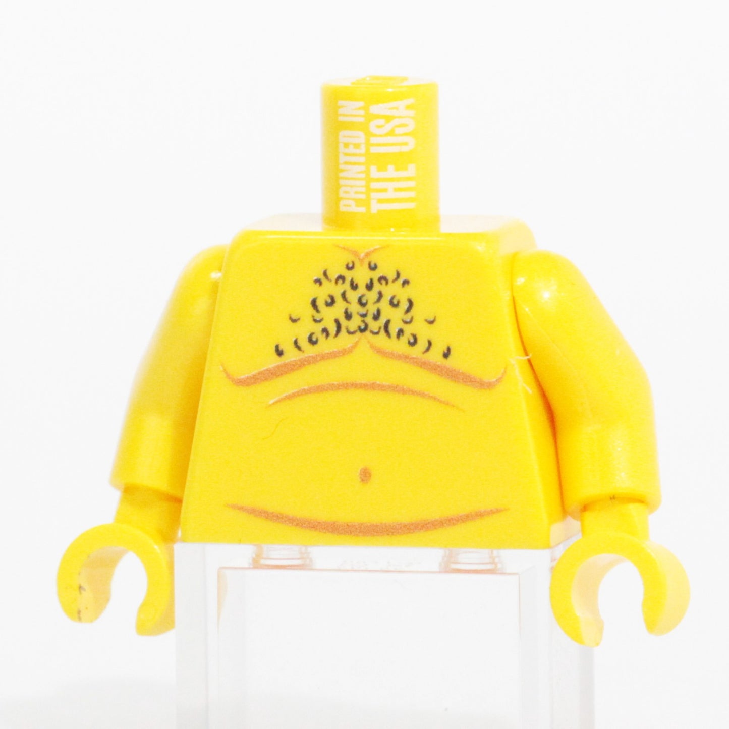 Dad Bod Torso