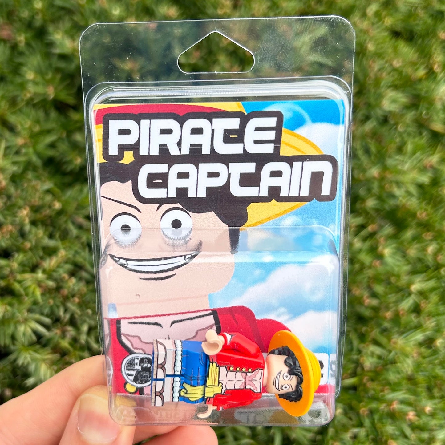 Pirate Captain - LIMITED EDITION 1/72